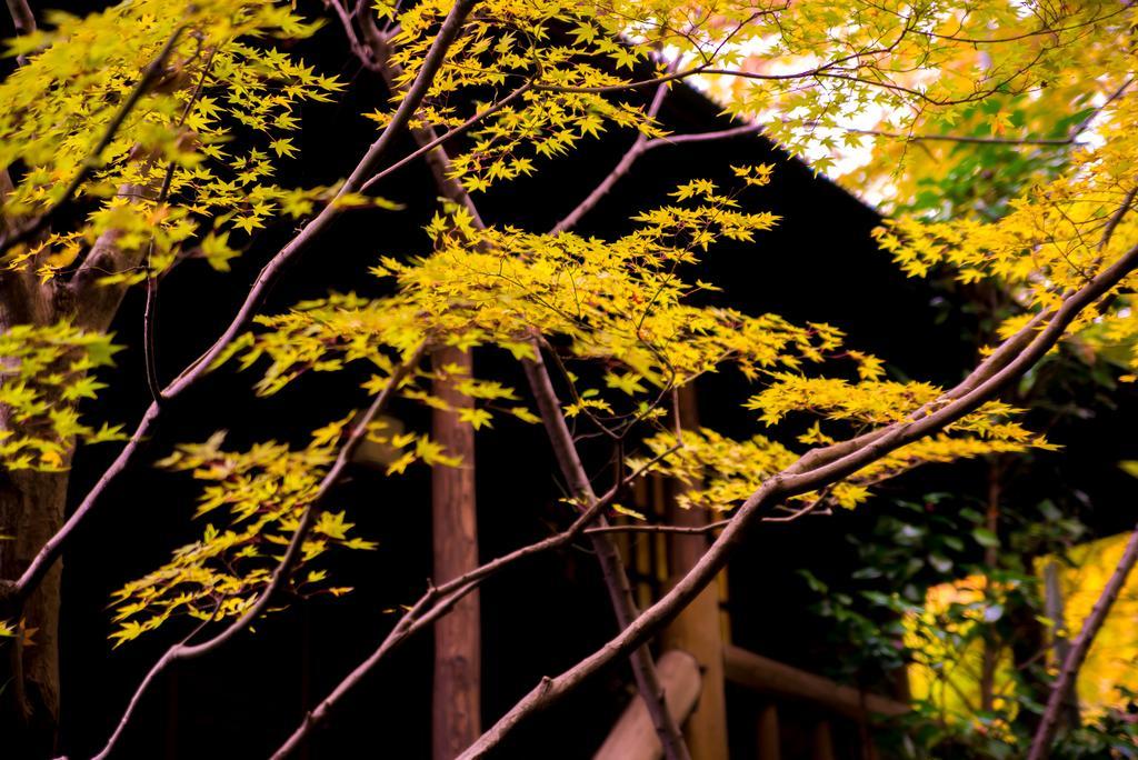 Kurokawa Onsen Oyado Noshiyu Hotell Minamioguni Exteriör bild