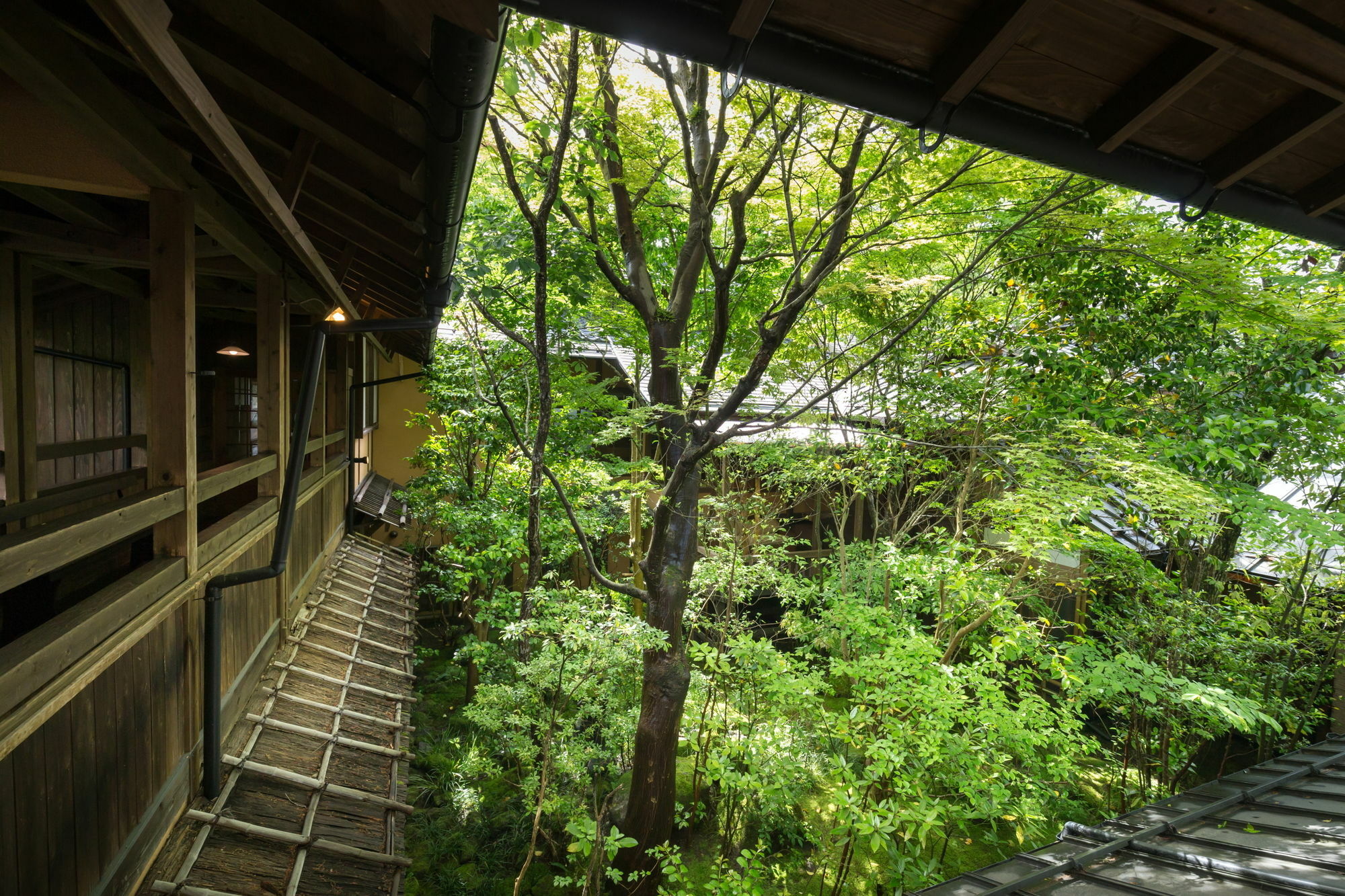 Kurokawa Onsen Oyado Noshiyu Hotell Minamioguni Exteriör bild